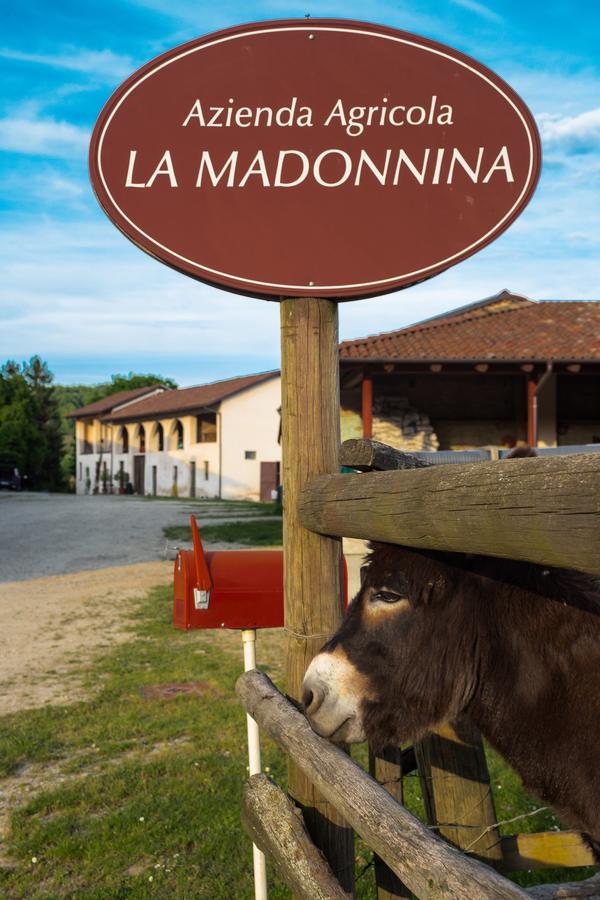 La Madonnina Agriturismo Dore Alba  Bagian luar foto